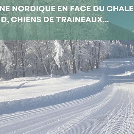 Chalet Les 4 Saisons - Ski, Parking Et Jardin Abondance المظهر الخارجي الصورة