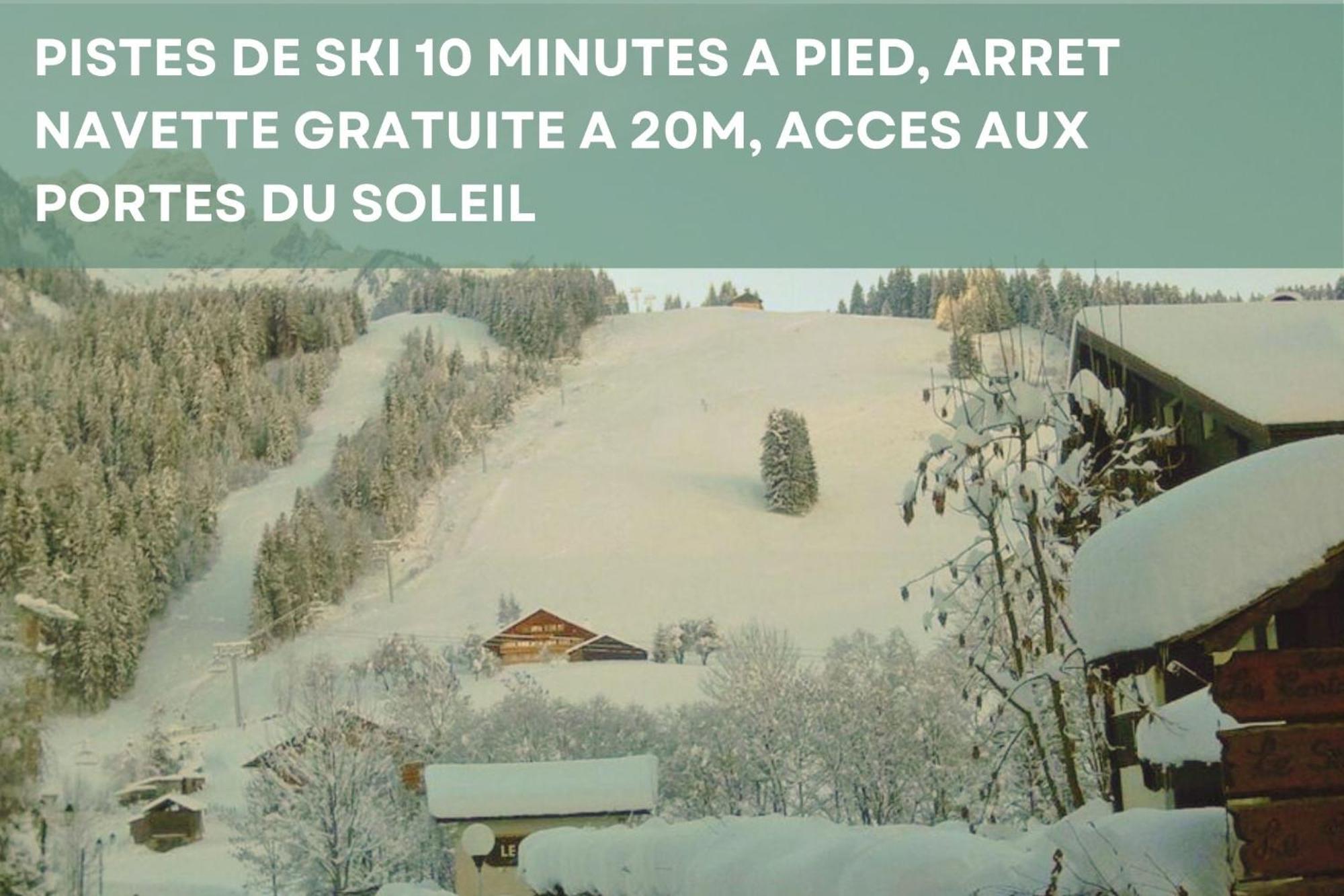 Chalet Les 4 Saisons - Ski, Parking Et Jardin Abondance المظهر الخارجي الصورة
